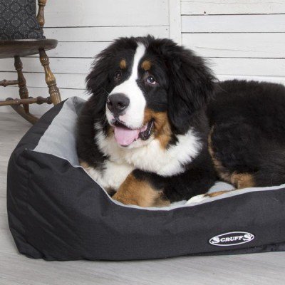 scruffs expedition box