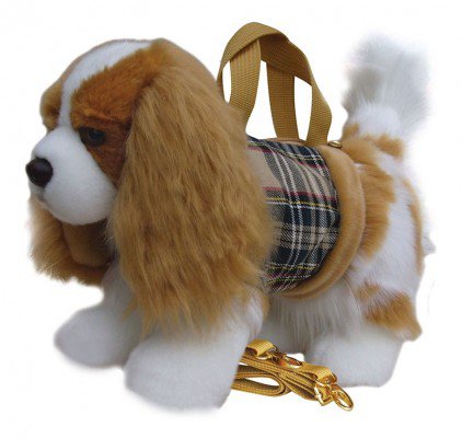 Cavalier - Blenheim - Vöruleit Já.is