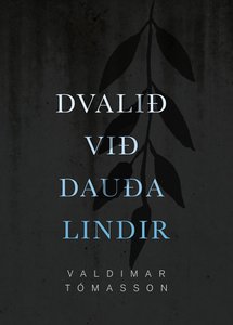 Vörumynd